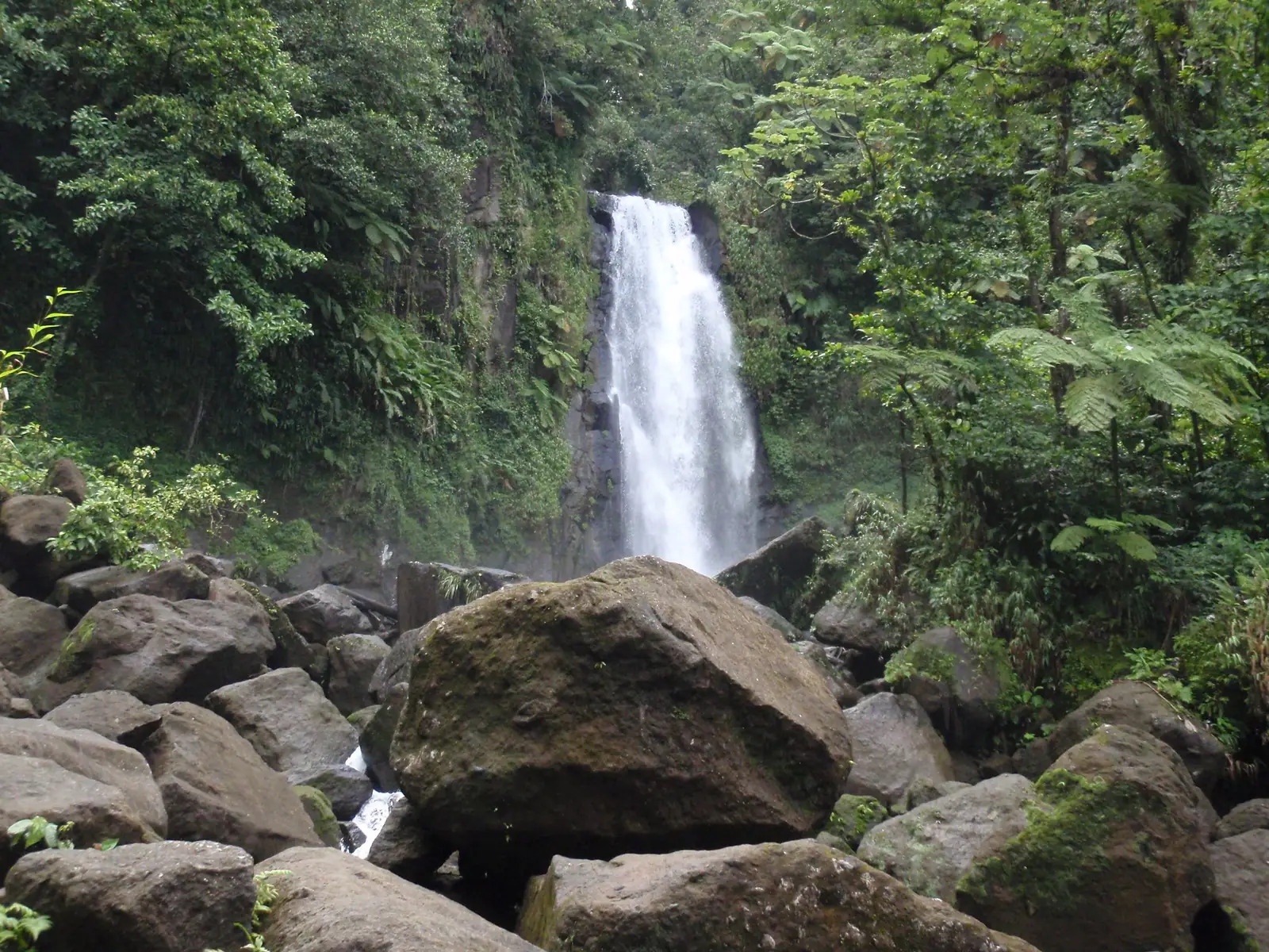 Yağmur ormanında Trafalgar Şelaleleri